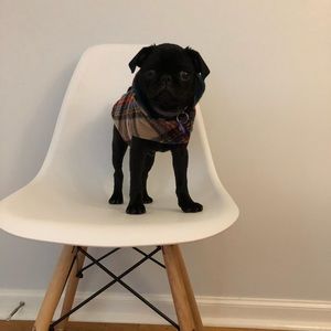 Meet your Posher, Julie